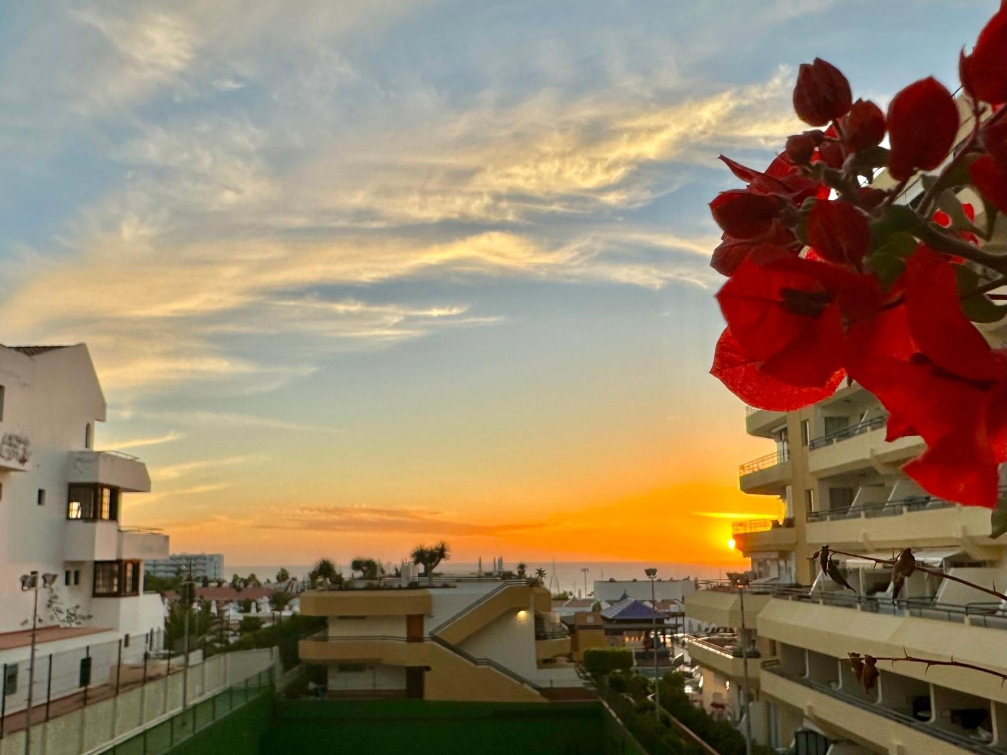 Apartment In Ocean Park, Costa Adeje, Tenerife Bagian luar foto